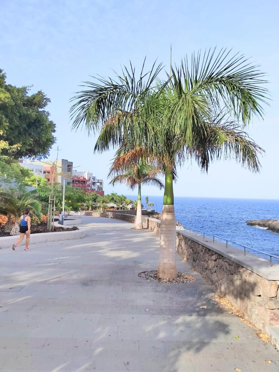 Mirador Del Paraiso 213 - 2 Bedrooms Playa Paraíso Eksteriør billede